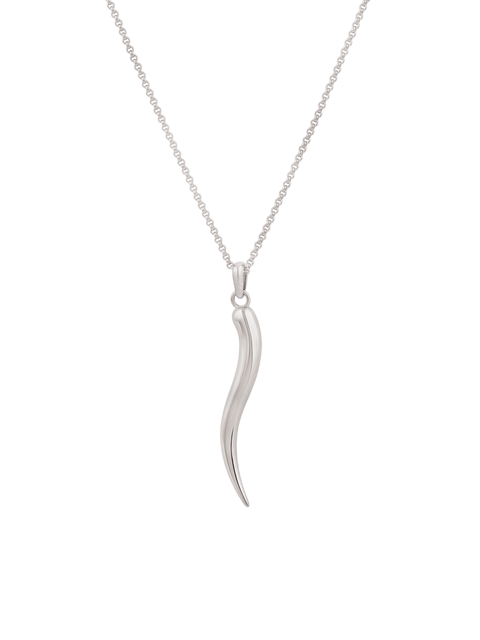 Toro horn pendant